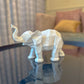 Dumbo Elephant